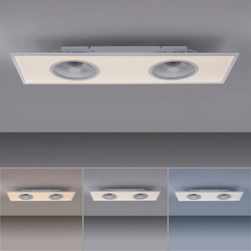 Deidra Ceiling Fan with LED Lights