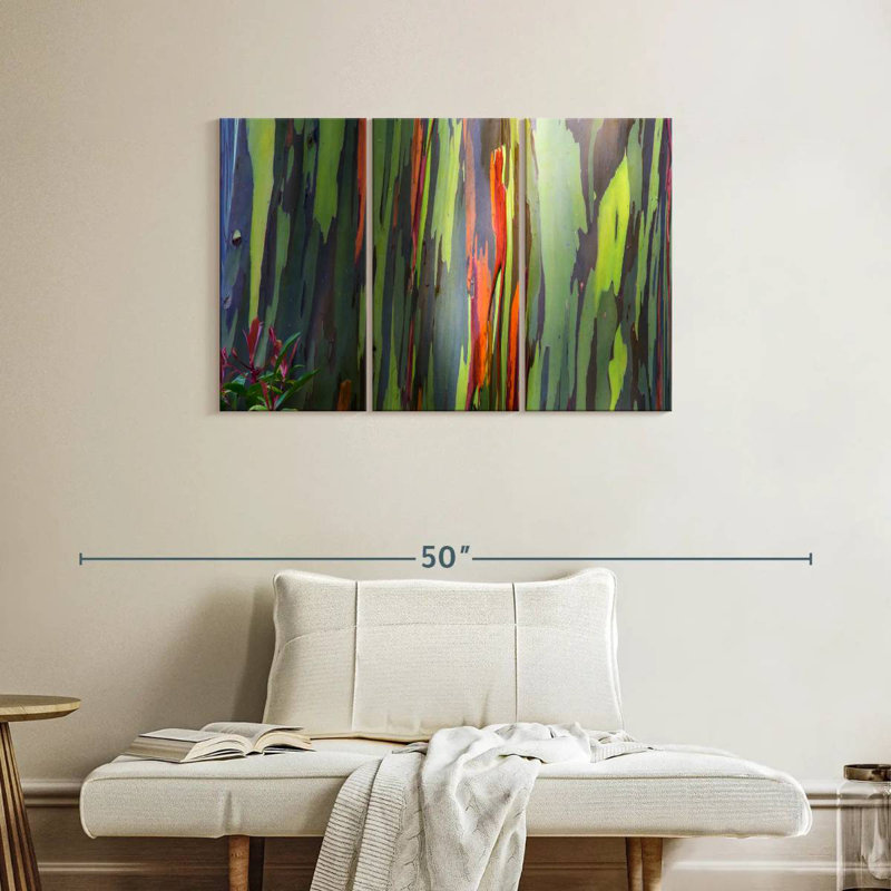 Harnek Rainbow Eucalyptus Bark, 24" H x 38" W