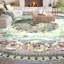 Wool Oriental Area Rug