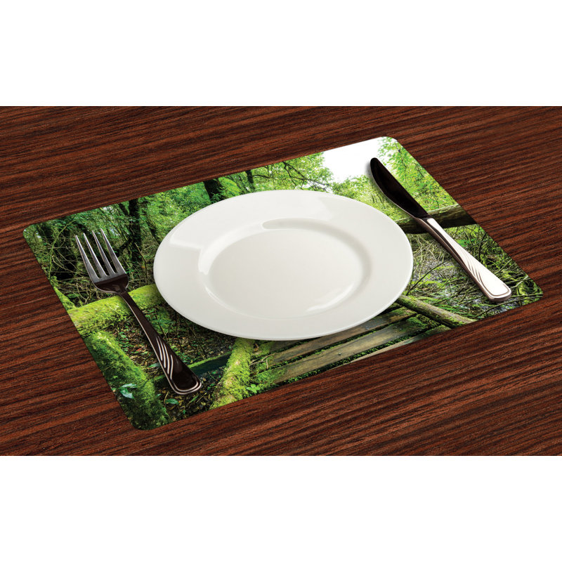 Récapitulatif 18,5" rainforest