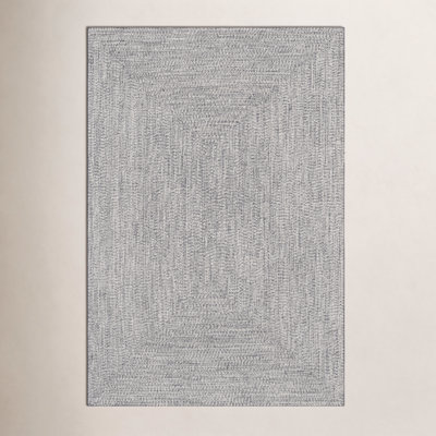 Edie Braided Indoor/Outdoor Rug