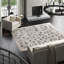 Solandra Floral Area Rug in Gray
