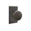Providence Keyed (Entry) Door Knob with Rosette-844832261