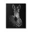 " Striking Greyscale Monochrome Zebra Photography Portrait " by Incado-70553735-70553736