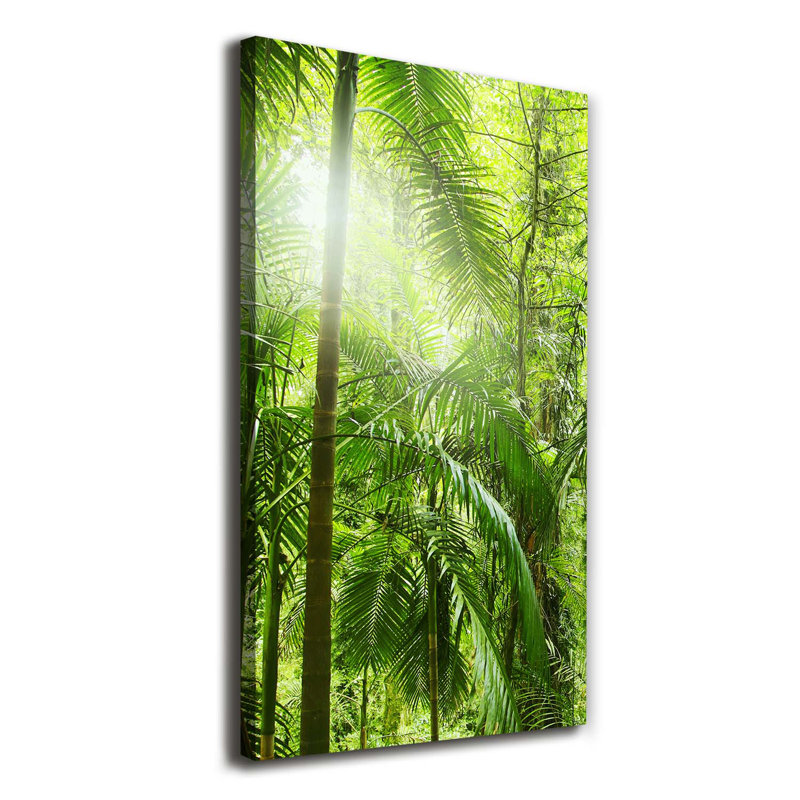 The Rainforest - Wrapped Canvas Print