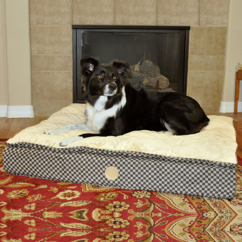 Feather Pillow Top chien Ortho, Petit (40" L x 30" W), Gris / Noir