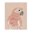 Art mural rose perroquet neutre sur toile par Chen Alyesh-1277314347
