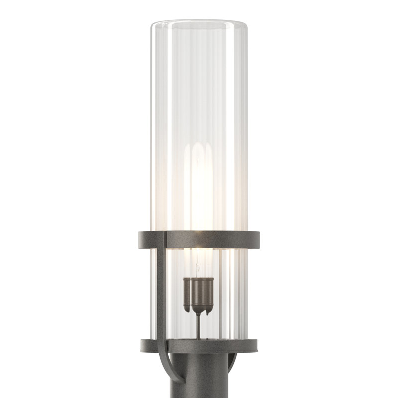 Alcove 1-Light 22.4" H Hardwired Lantern Head, Transparent, Coastal Natural Iron
