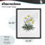 «Dandelion Flower Illustration», reproduction encadrée sous verre, conception de Cecilia Battaini-1489762220-1489762222