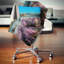 Coussin d’impression paysager et fleurs de montagne incroyables-29079032-29079036
