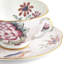 Cuckoo Teacup & Saucer