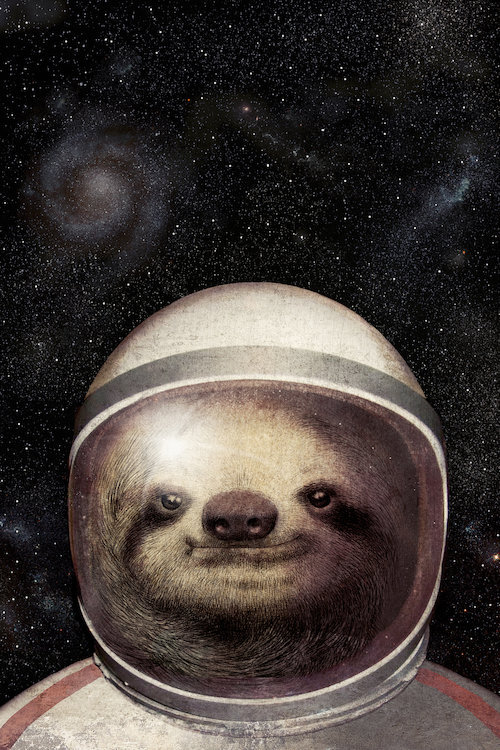 « space sloth », impression sur toile tendue, H 60 po x l 40po x P 1,5 po