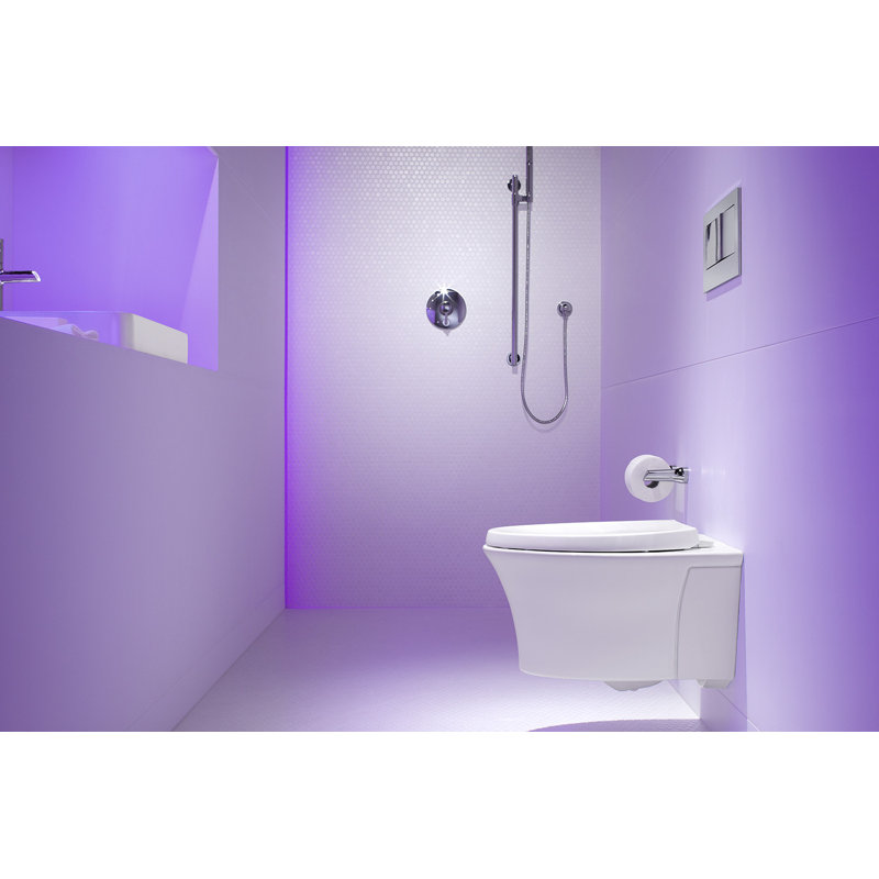 Veil® One-Piece Elongated Dual-Flush Wall-Hung Toilet with Reveal Quiet-Close Seat and 2"X6" In-Wall Tank and Carrier System