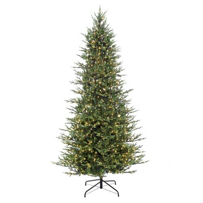 9' Green Fir Trees Christmas Tree with 800 White Light -  The Holiday Aisle®, B39EFFCC3E8C43FFACC732F239B9D79C