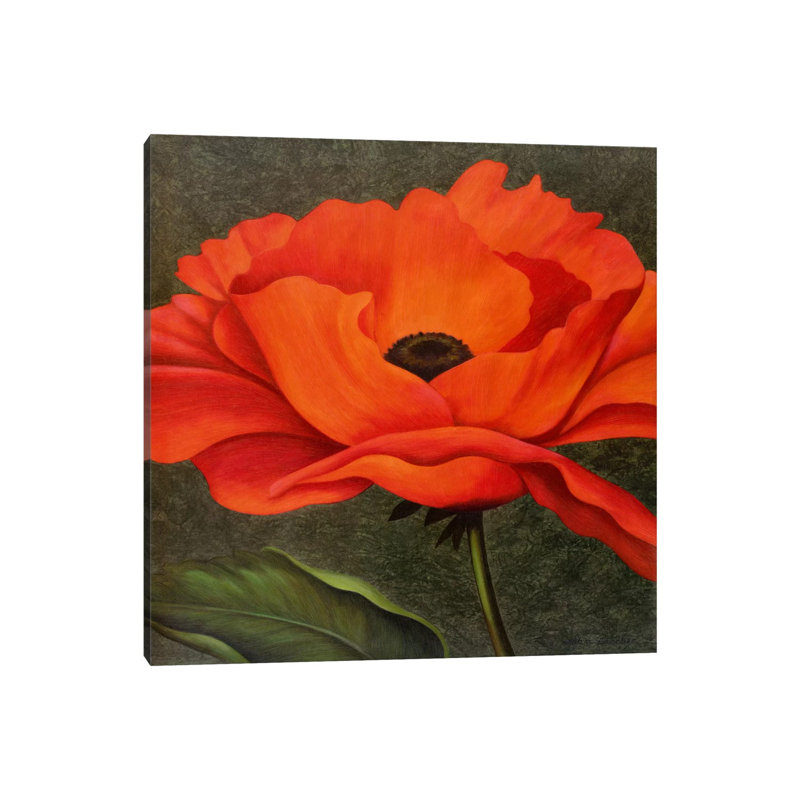 Red Poppy by John Zaccheo - Wrapped Canvas Gallery-Wrapped Canvas Giclée, 30.48 cm H x 30.48 cm W