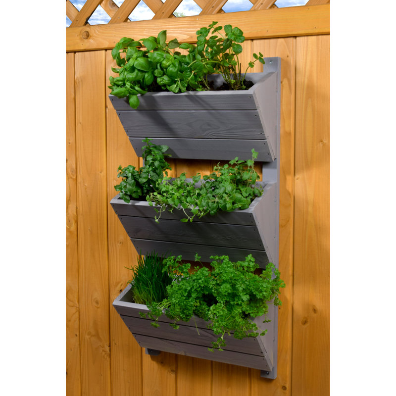 Aakanksha Handmade Wood Wall Planter, Grey