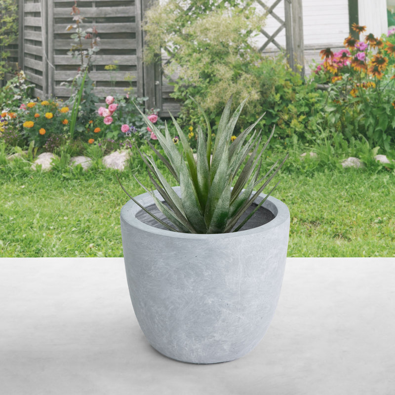 Karola Pot Planter, 9" H x 10" W x 10" D, Cement