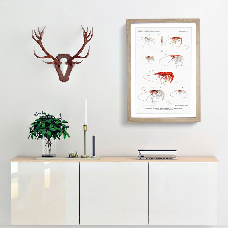 Selection of Shrimp by Albert I - Picture Frame Painting Print, 36cm H x 27cm W x 2cm D, Oak Framed