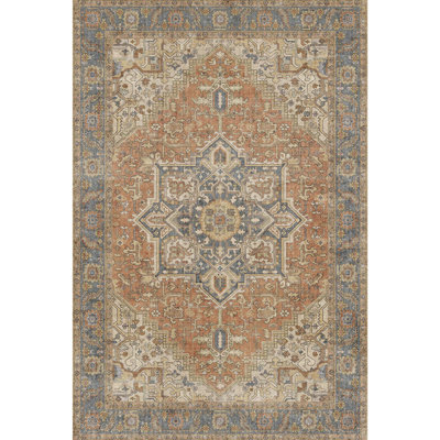 Bohemian Vintage Area Rug Washable Non Slip Moroccan Indoor Rug