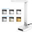 Desk Lamp-557965961