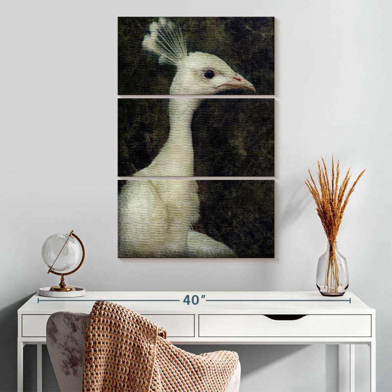 Paon blanc Brampt, H 32 po x l 20 po