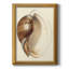 Imprimé Splendid Shells III-1385888432