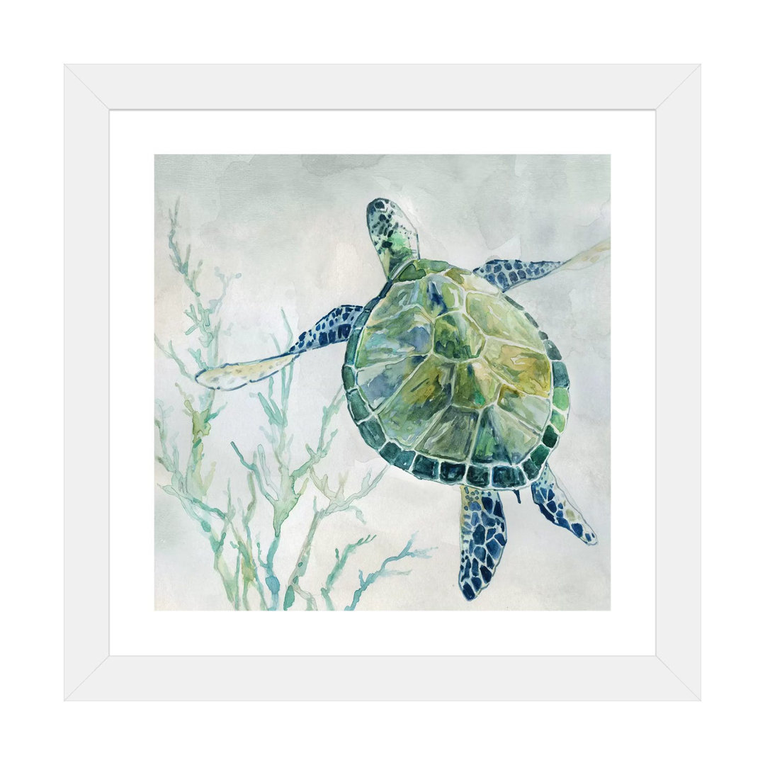 " Seaglass Turtle II " by Carol Robinson Beachcrest Home™ 