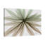 «Earthy Echium», toile tendue par Albert Koetsier-2006822270