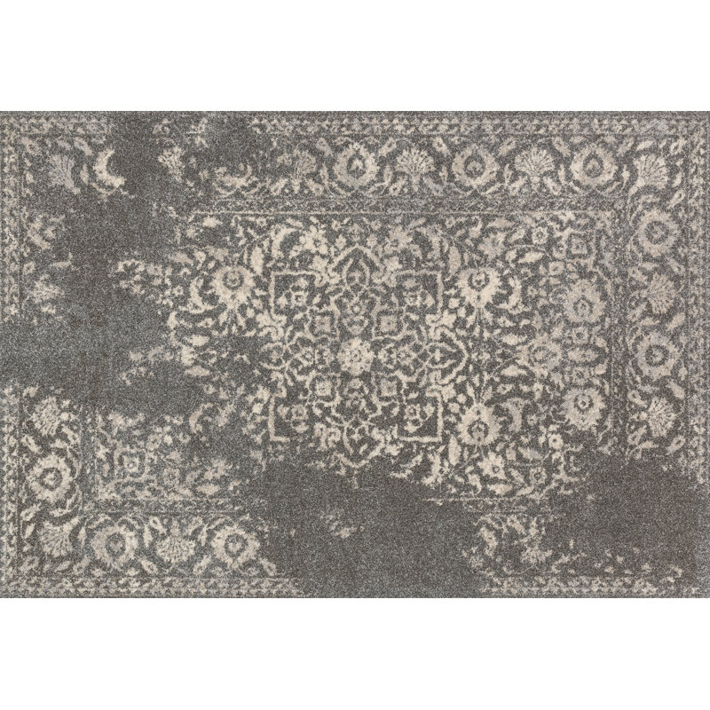 Aparicio Oriental Indoor Rug, Rectangle 5'3" x 7'7"