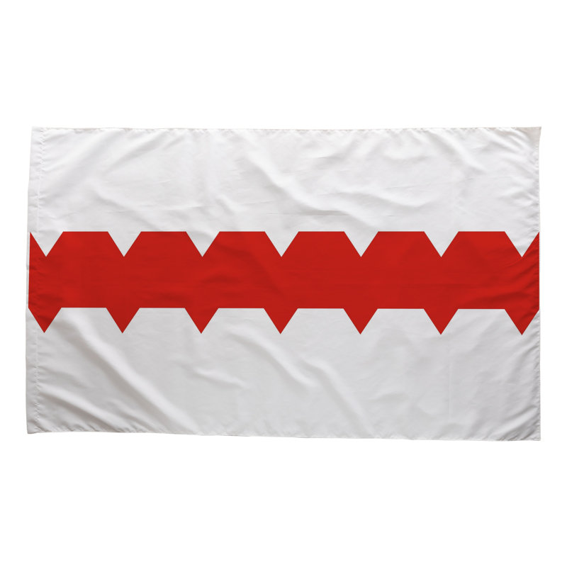 Drapeau de la ville d'Omsk - drapeau extérieur, 24" H x 36" W