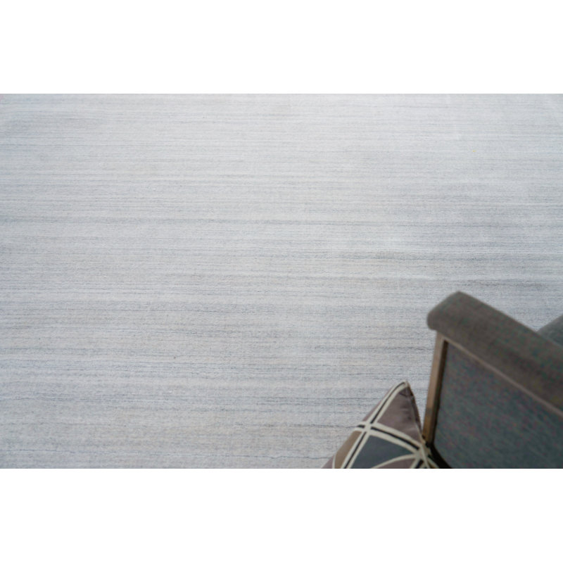 Serenity handloomed PET Beige/Brown Area Rug, Light Gray/Ivory, Rectangle 9' x 12'