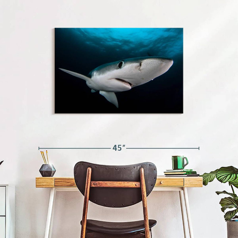 Brampt Underwater Blue Shark, 24" H x 36" W