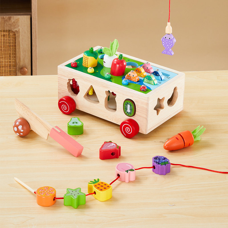 Shape Sorter Toys Set