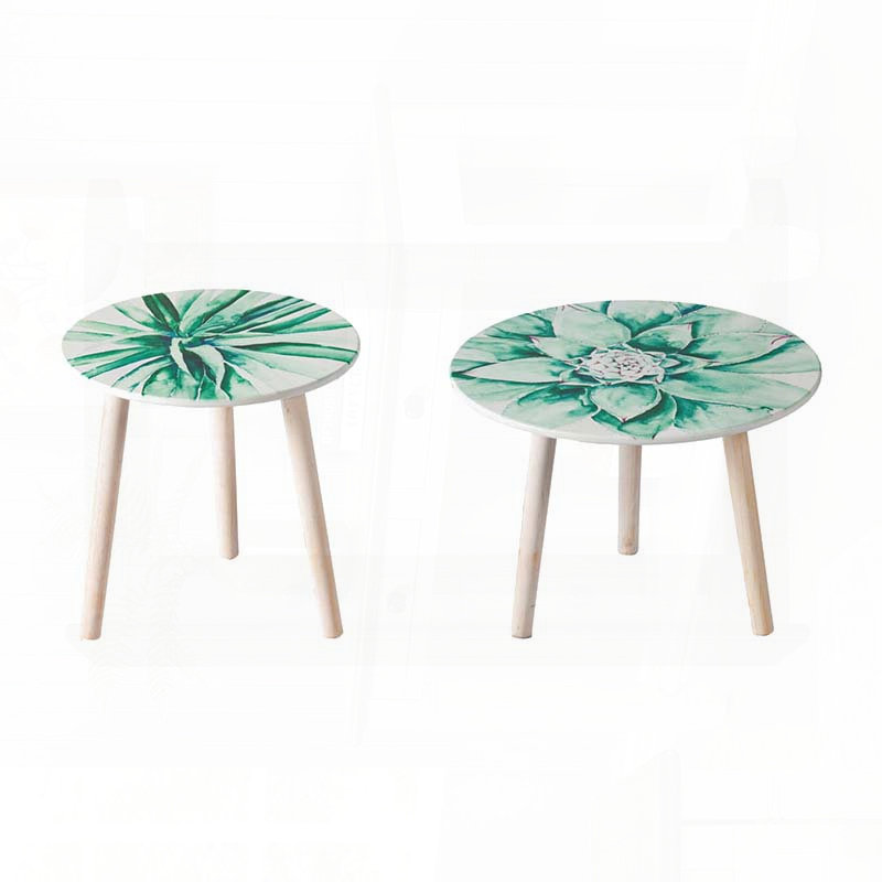Ensemble de 2 tables d'appoint inspirées de la nature avec plateau à motif de plantes grasses