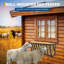Roosting Bars / Frames-1016437160