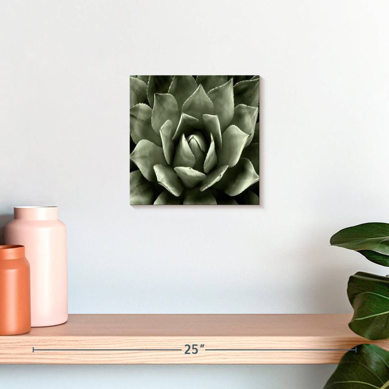 Harnek Green Succulent II