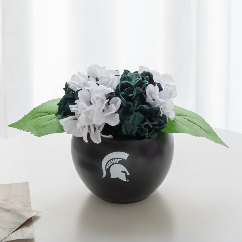 Hydrangea Arrangement, MSU