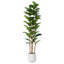 Figuier artificiel 72 po Adarna avec feuilles réalistes et tronc naturel, arbre en pot-212896210
