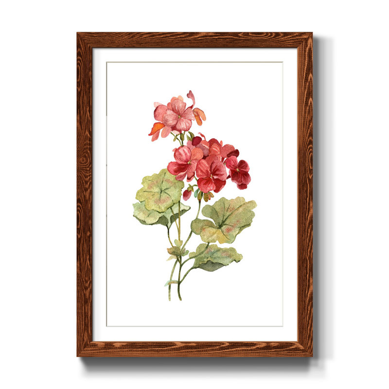 Écarlate géranium - Reproduction d'art sur papier encadrée, Érable, H 31,5 po x l 23,5 po x P 1,5 po