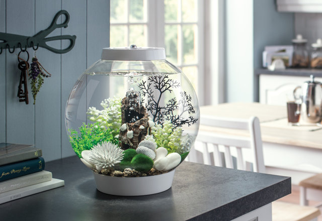 Our Best Freshwater Aquariums