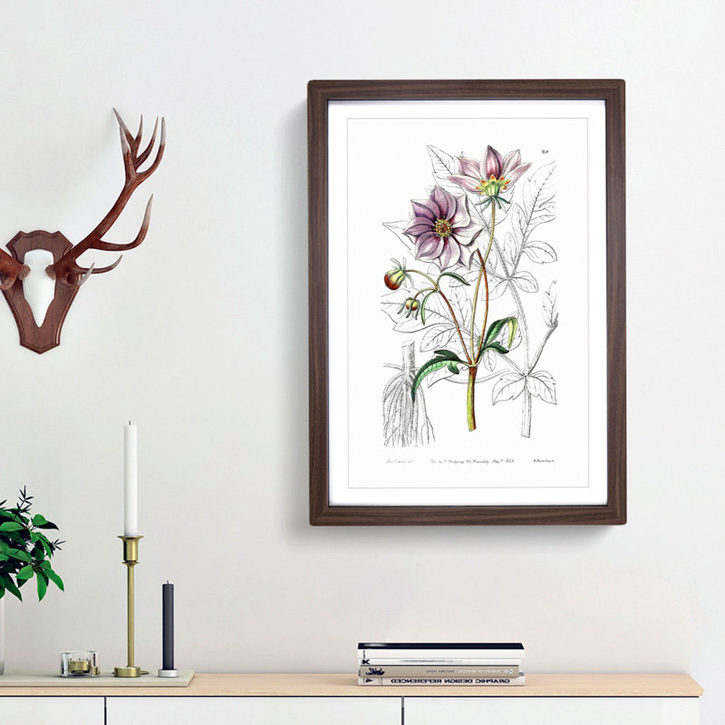 Purple Dahlia Flowers - Framed Print, 36cm H x 27cm W x 2cm D, Walnut Framed