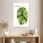 Green Palm II-2008016771