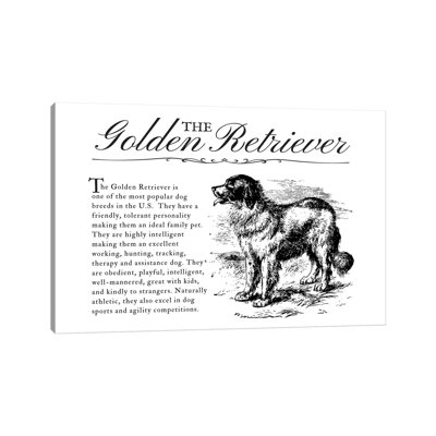 Vintage Golden Retriever Storybook Style by Traci Anderson - Wrapped Canvas Gallery-Wrapped Canvas Giclée