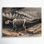 «Dinosaur Archeopteryx», art mural sur toile grise-1977157694