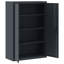 Marielos 2 -Door Storage Cabinet-1942790179