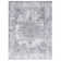 Pasiak Chenille Mashine Washable Vintage Indoor Arae Rug with Non-Slip Backing for Bedroom Living Room Kitchen Entryway
