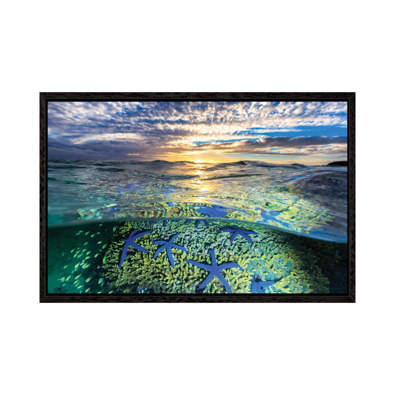 A Sea Of Stars by Jordan Robins - Print on Canvas, Black Framed, 45.72cm H x 66.04cm W x 3.81cm D