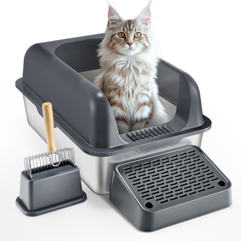 Litière profonde sans odeur pour chat de 6 pouces avec pied filtrant | Idée de cadeau