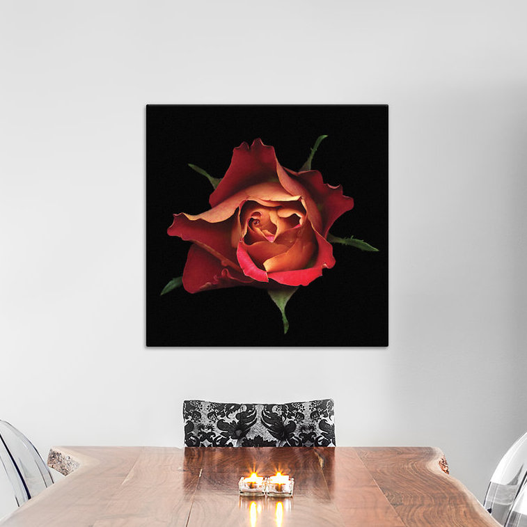 Le baiser d'une rose, reproduction de photo sur toile tendue, H 18 po x l 18 po x P 1,5 po, Toile avec cadre noir
