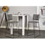Cettina Upholstered Counter Stool with Metal Frame-1726460580